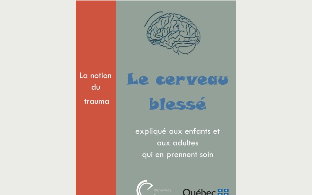 Le cerveau blessé expliqué aux enfants et aux adultes qui en prennent soin – PDF Gratuit