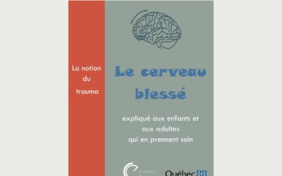 Le cerveau blessé expliqué aux enfants et aux adultes qui en prennent soin – PDF Gratuit