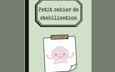 Petit cahier de stabilisation (gratuit)
